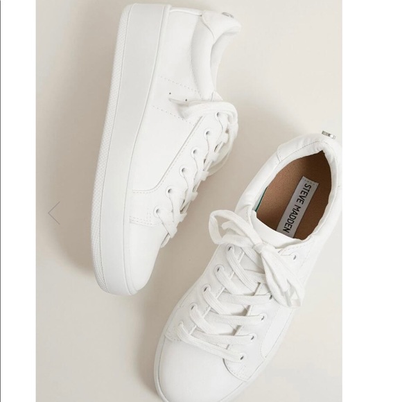 Steve Madden Shoes - Steve Madden Bertie White Sneaker